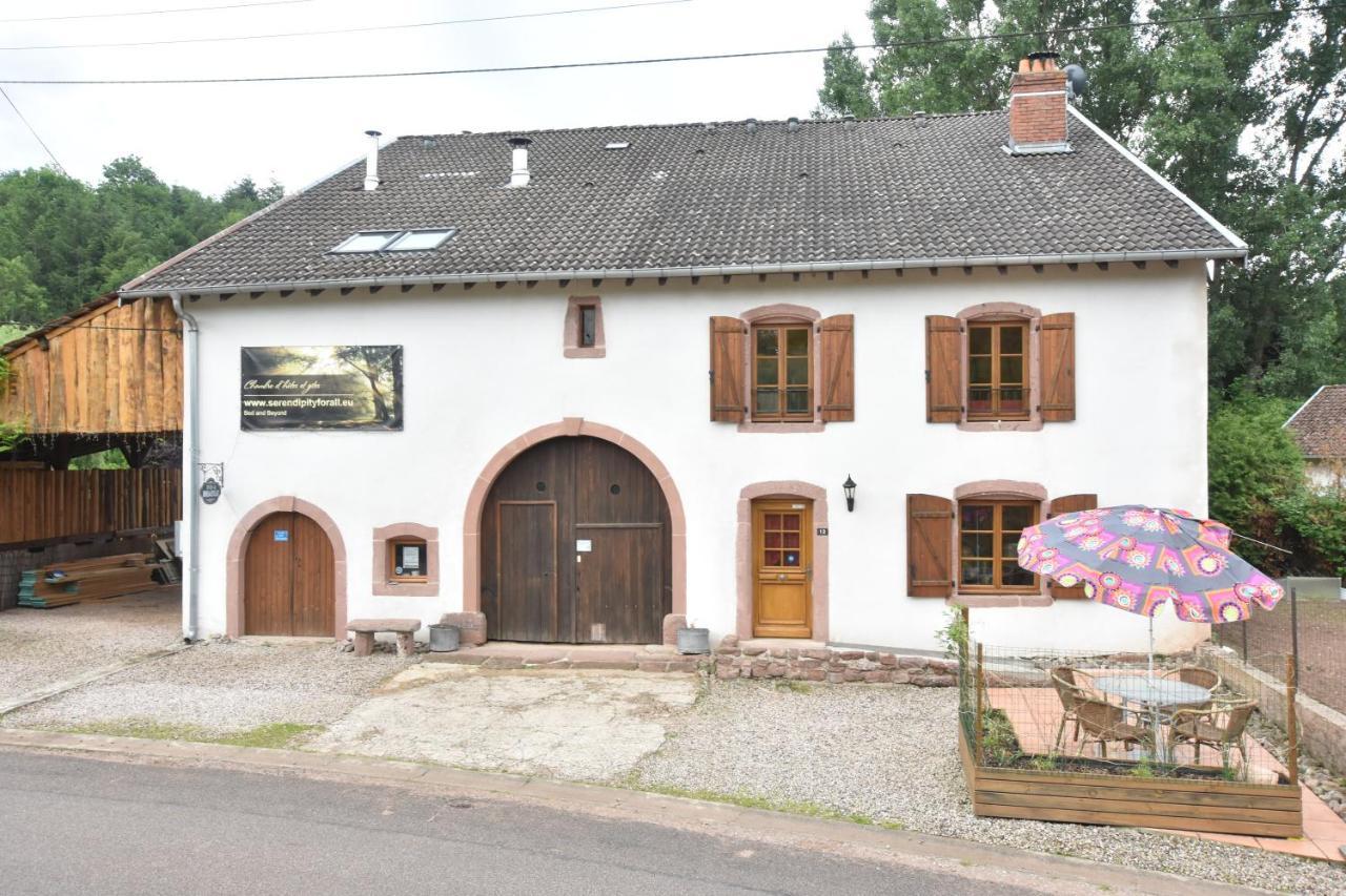 Serendipity For All Apartments Saint-Die-des-Vosges Exterior foto